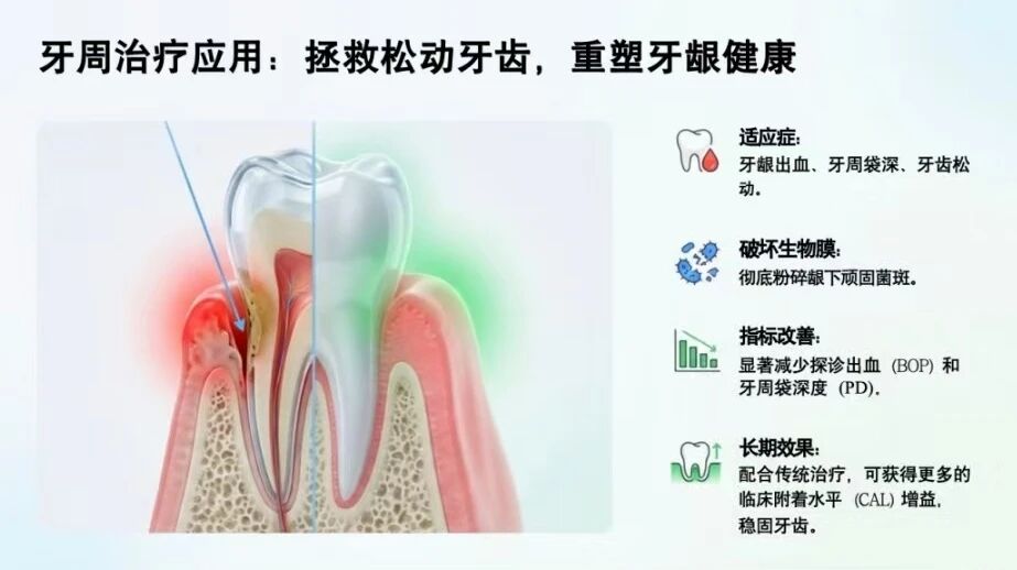 微信图片_2026-09-18_162929_654.jpg