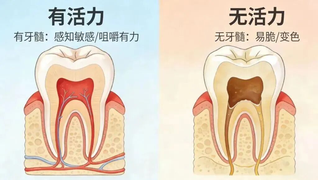 微信图片_2026-09-18_180008_682.jpg