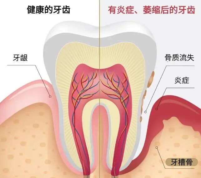 微信图片_2026-10-10_091955_801.jpg